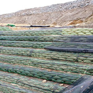 Uniaxial Geogrid